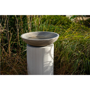 Ricotta Circular Plinth 60cm With Flight Shark Bowl